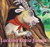 /album/fotogaleria-uvodna-stranka/koza-rohata-2-kopia-jpg1/